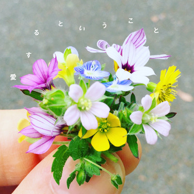 Moment of Love Front Cover