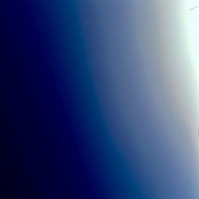 Swimmers Front Cover