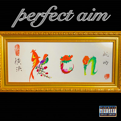 Perfect aimのジャケット写真