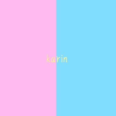 karin Front Cover