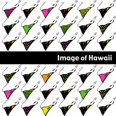 Image Of Hawaii Front Cover