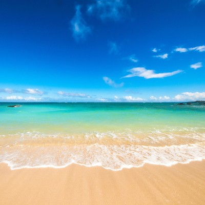 Piece of Coral -Seabird on the Beach (feat. Satoru Nakada) Front Cover