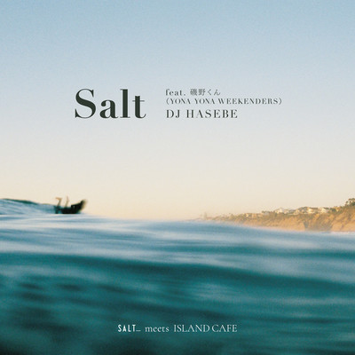 Salt (feat. Isonokun) Front Cover