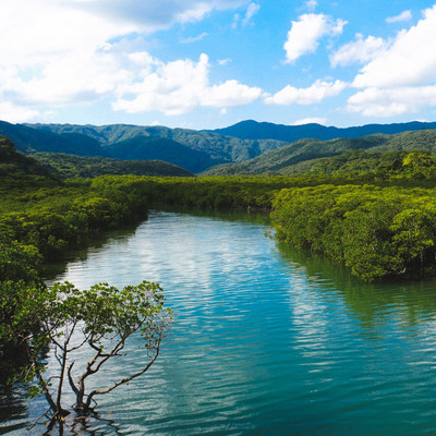 Waves and Winds - at Tsukigahama Beach (feat. Satoru Nakada) Front Cover