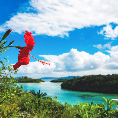The Sound of Waves and White Sand - at Yonehara Beach (feat. Satoru Nakada) Front Cover