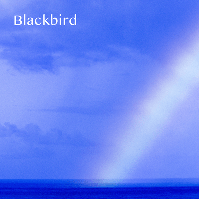 Blackbird (Cover) Front Cover