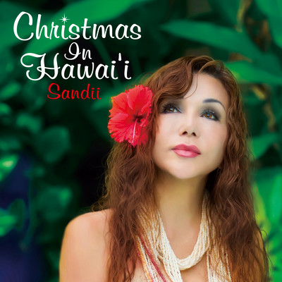 Christmas in Hawai'i Front Cover