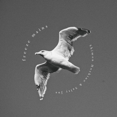 freeze mainsのジャケット写真