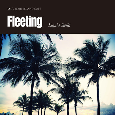 Fleeting Front Cover