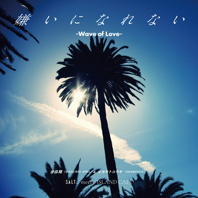 嫌いになれない 〜Wave of Love〜のジャケット写真