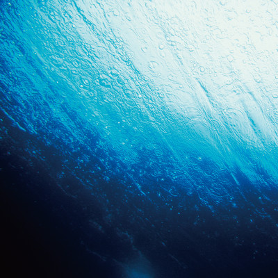 In Harmony with the Flow Front Cover