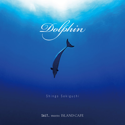 Dolphin Front Cover