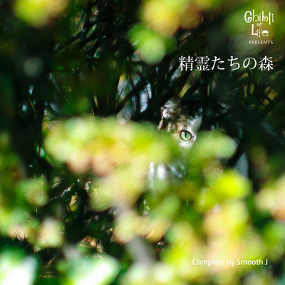 Ghibli of Life Presents 精霊たちの森のジャケット写真