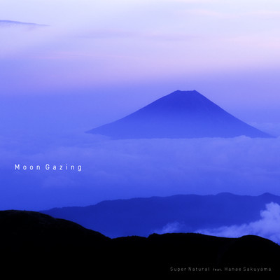 Moon Gazing (Moon Gazing) Front Cover
