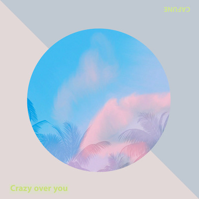 Crazy over youのジャケット写真