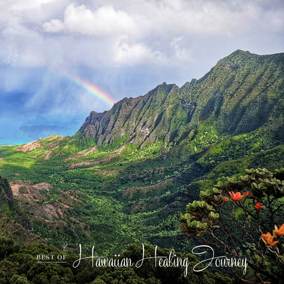 Best of Hawaiian Healing Journey Vol.1 (Remastered 2021) Front Cover