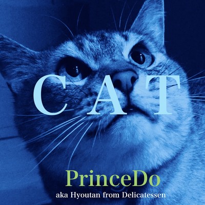 CAT Front Cover