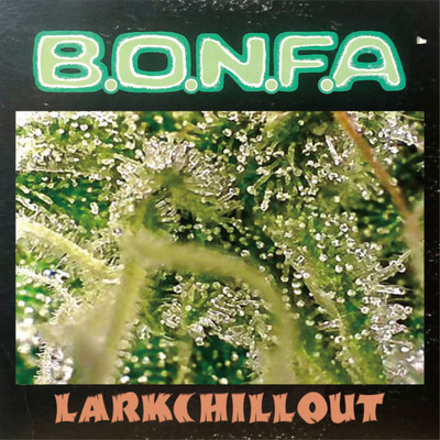 B.O.N.F.A. Front Cover