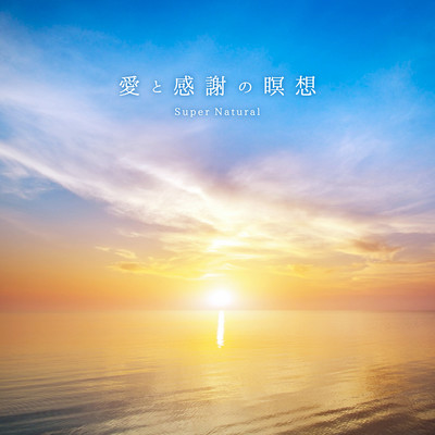 Love and gratitude meditation -Meditation when you want to be energized- Front Cover