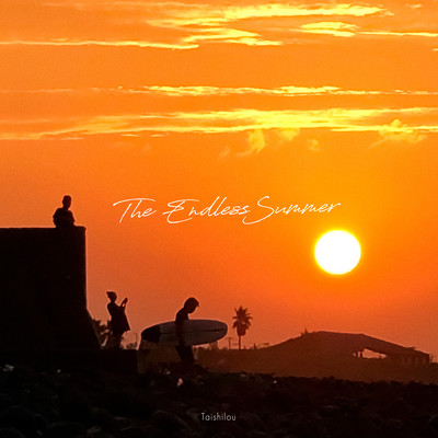 The Endless Summer Front Cover