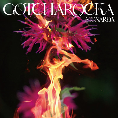 MONARDA Front Cover