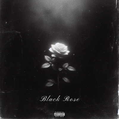 Black Rose Front Cover