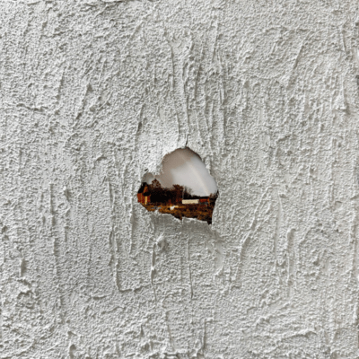 True Colorsのジャケット写真