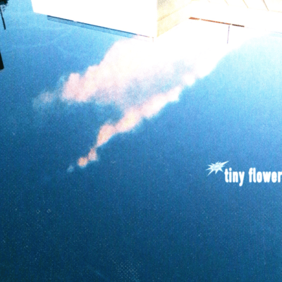 tiny flower Front Cover