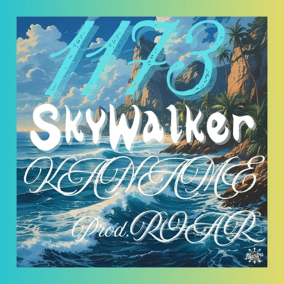1173SkyWalker Front Cover