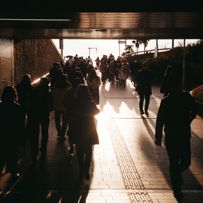 ファンファーレのジャケット写真