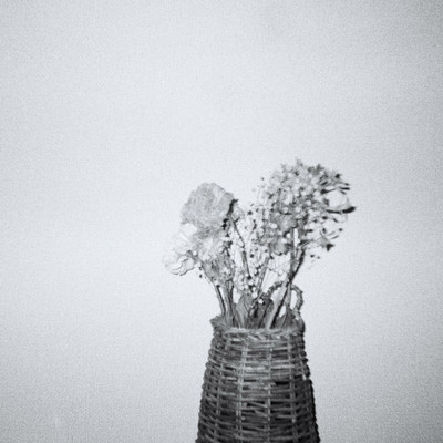 おもいのゆくえのジャケット写真