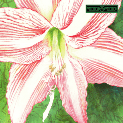 AMARYLLISのジャケット写真