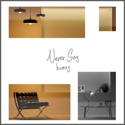Never Say Front Cover