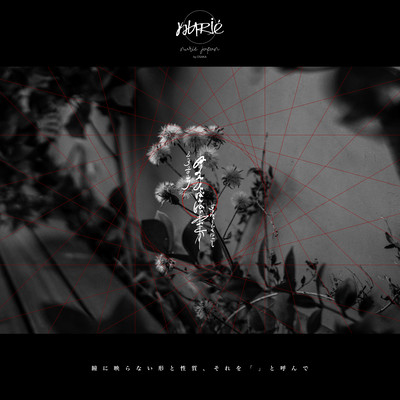 瞳に映らない形と性質、それを「」と呼んでのジャケット写真