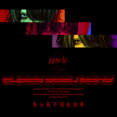 SUPER ROCK BANDのジャケット写真