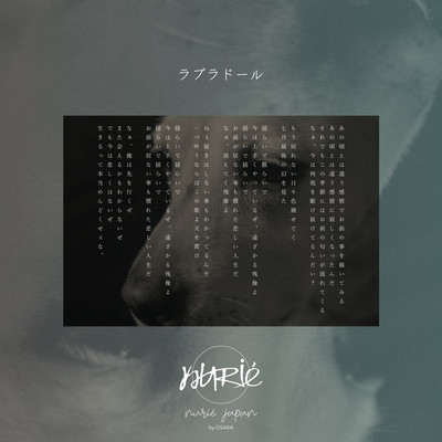 Labrador Front Cover