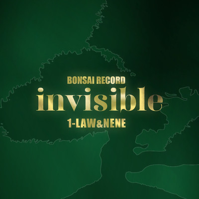 invisibleのジャケット写真