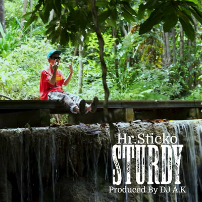 STUDY Front Cover