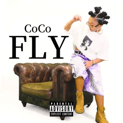 FLY Front Cover