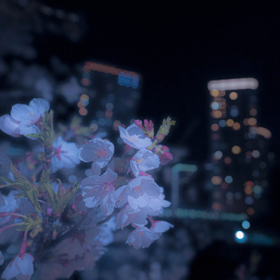 She already knowsのジャケット写真