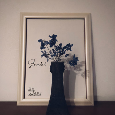 Still-life Front Cover