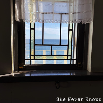 she never knows Front Cover
