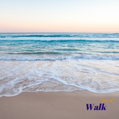 Walk Front Cover