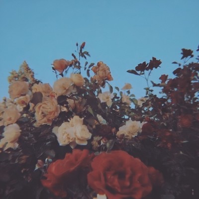 FALL IN LOVE (feat. LIL G & OHAYO) Front Cover