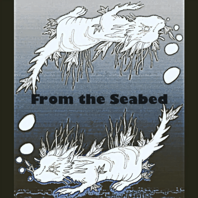 From the Seabed Front Cover