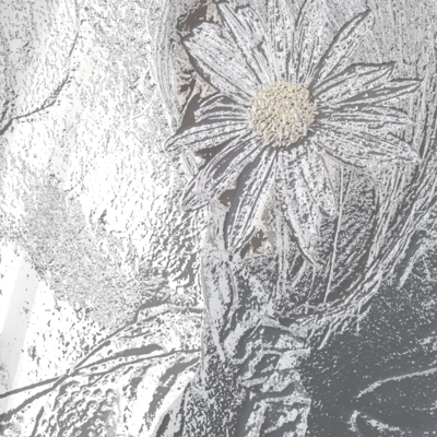 花のカンバセのジャケット写真