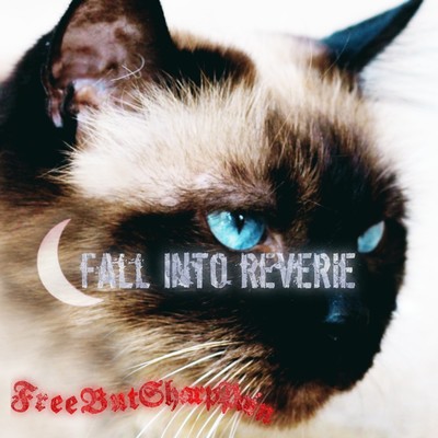 FALL INTO REVERIEのジャケット写真