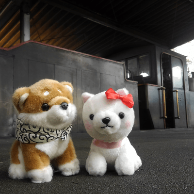 Photos from the train window Front Cover