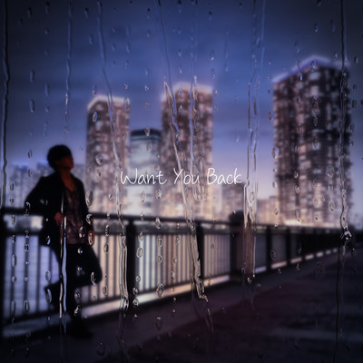 Want You Back Front Cover