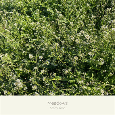 Meadowsのジャケット写真